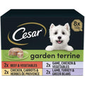 Cesar Garden Terrine Wet Dog Food – Mixed Selection Loaf, 24 x 150g