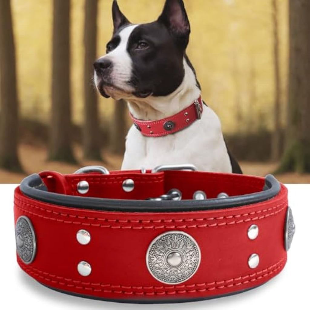 Jolof Store Leather Dog Collar – Padded Genuine Cowhide, Red, 5cm Wide