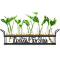 THYGIFTREE Plant Propagation Station | Metal Stand Glass Terrarium