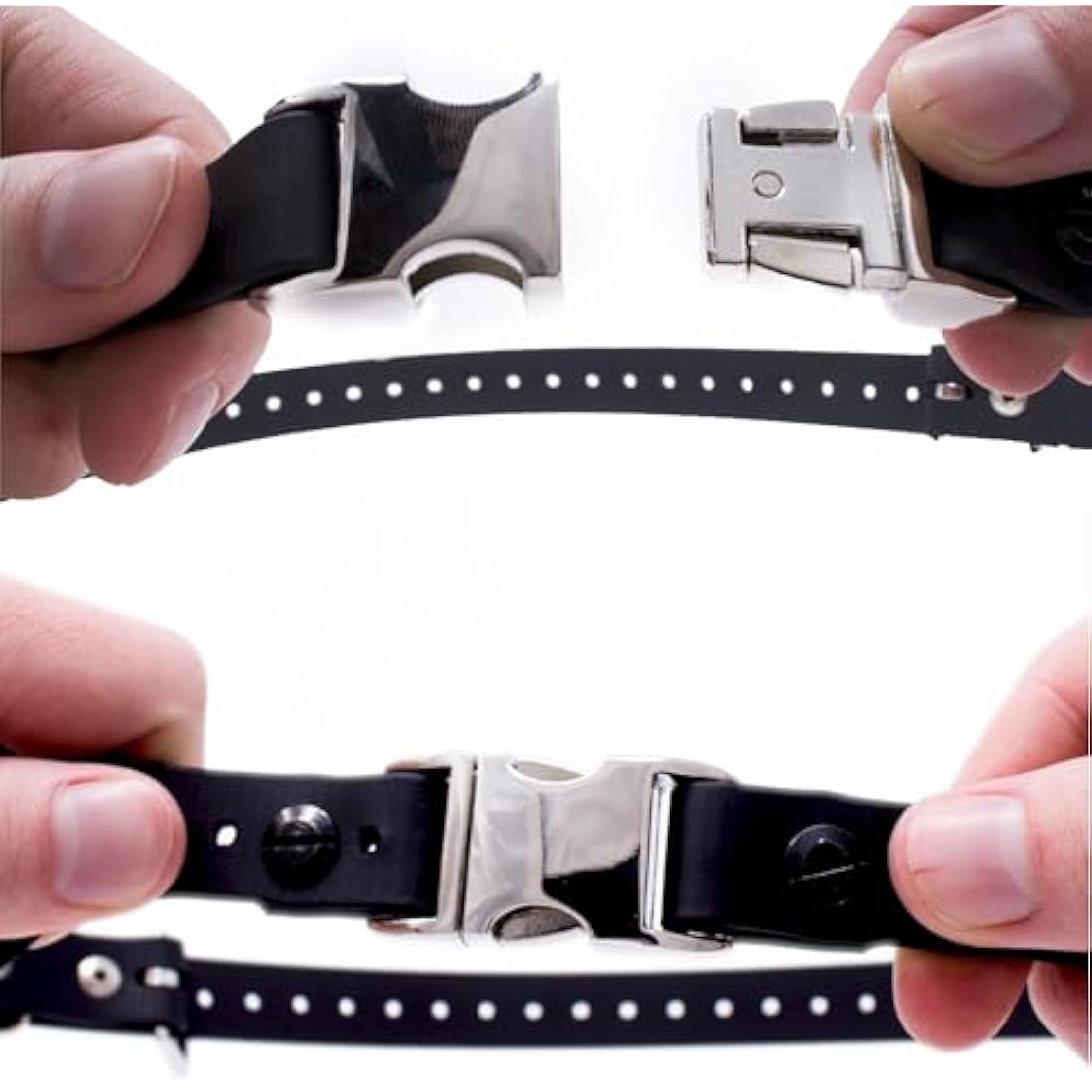 Educator Bungee Dog Collar - 3/4" Biothane Waterproof Training Collar