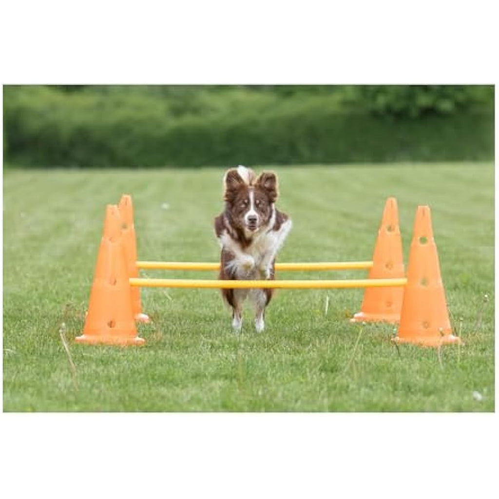TRIXIE Dog Agility Obstacle Set – Adjustable Hurdles & Slalom Pylons