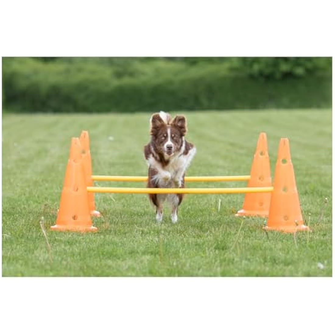 TRIXIE Dog Agility Obstacle Set – Adjustable Hurdles & Slalom Pylons