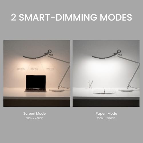 BenQ WiT e-Reading LED Desk Lamp | Eye-Caring & Dimmable | Matte Silver