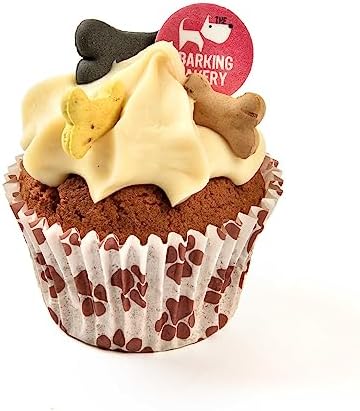 Vanilla Dog Birthday Cake – Iced Cupcake Puppy Treat