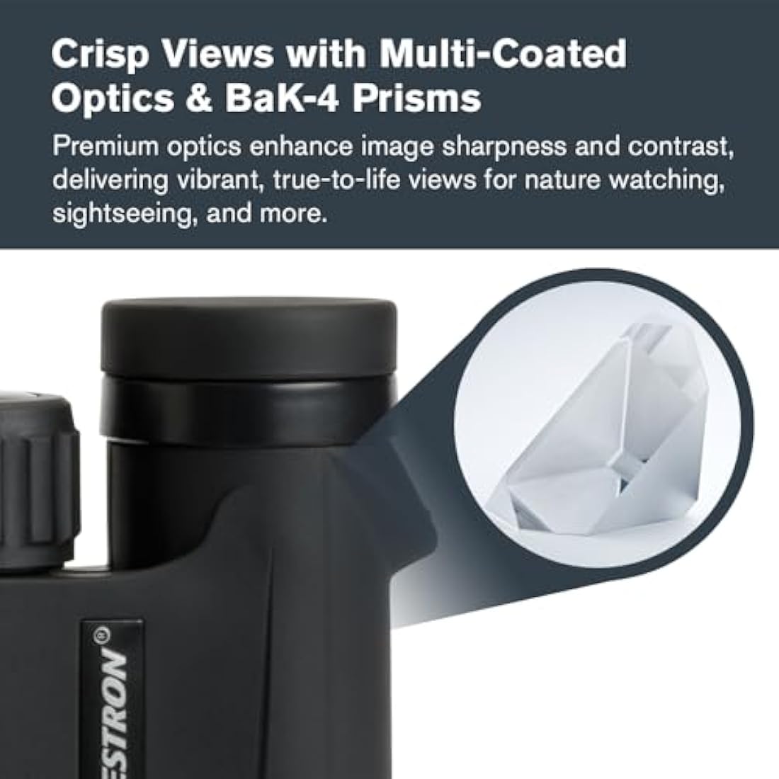 Celestron Outland X 10x25 Compact Binoculars – Waterproof & Fogproof