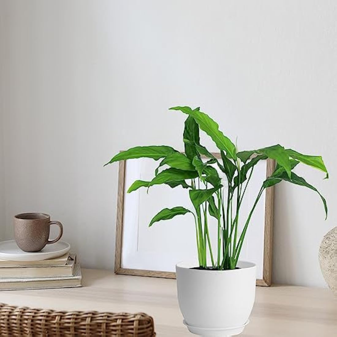 PROFIKLA Plastic Plant Pots with Drainage and Saucers - Set of 3, White