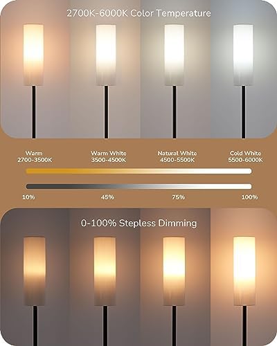 EDISHINE LED Floor Lamp – Dimmable Standing Lamp with Remote Control