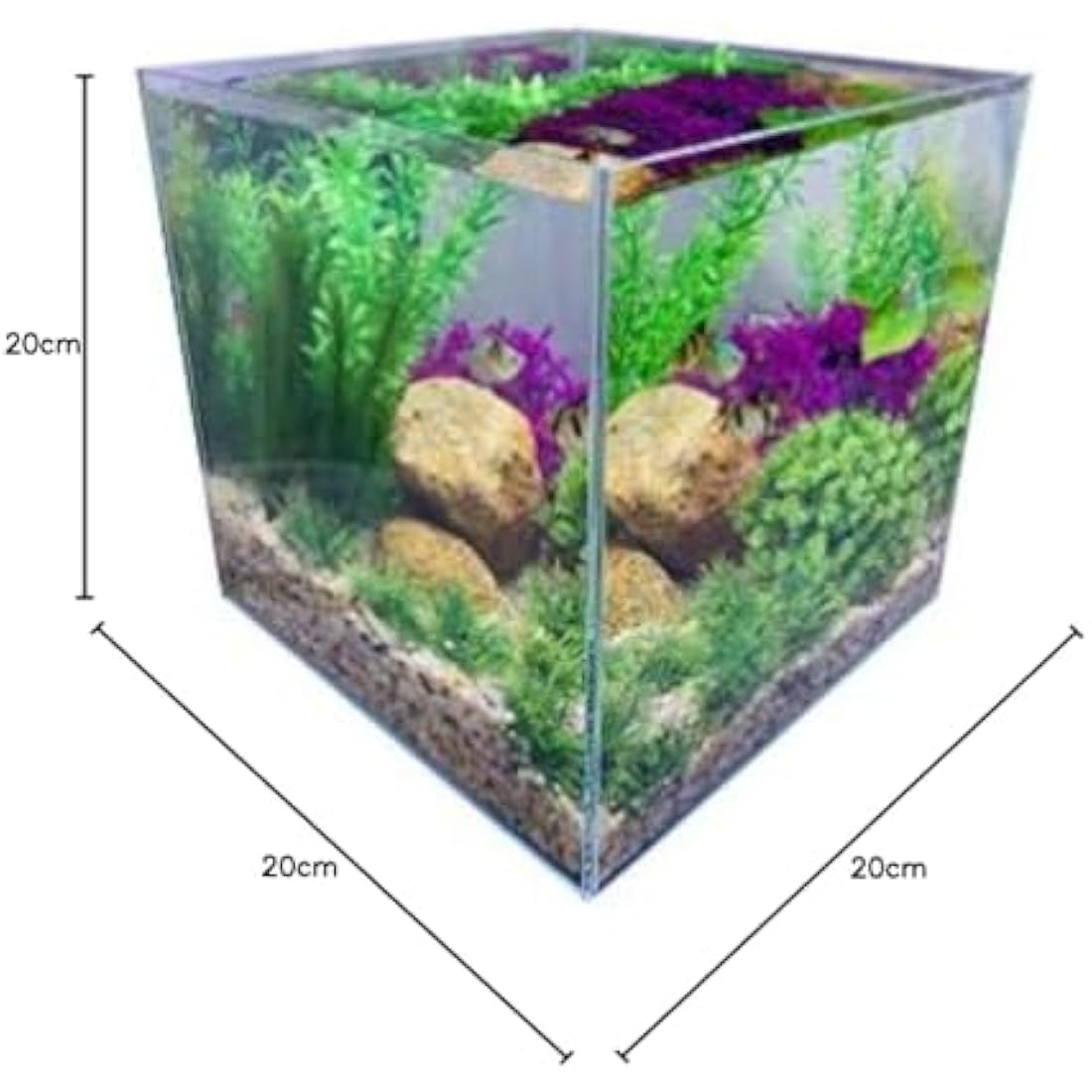Rimless Low Iron Glass Nano Aquarium Tank | 7L Desktop Cube