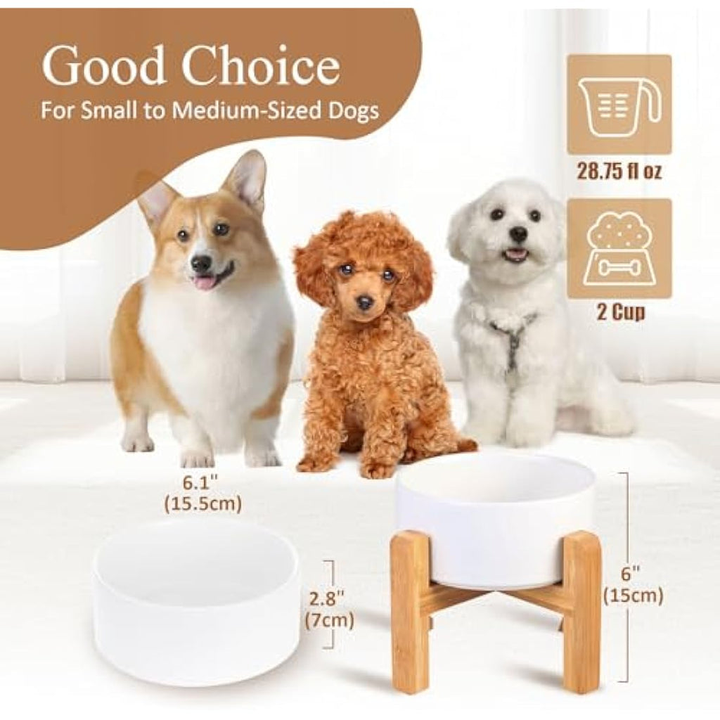 Elevated Ceramic Dog Bowls – Raised Anti-Vomiting Set of 2