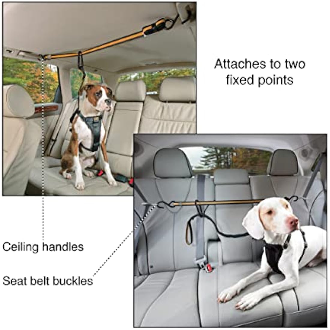 Kurgo Dog Auto Zip Line – Adjustable Car Safety Restraint & Leash Tether