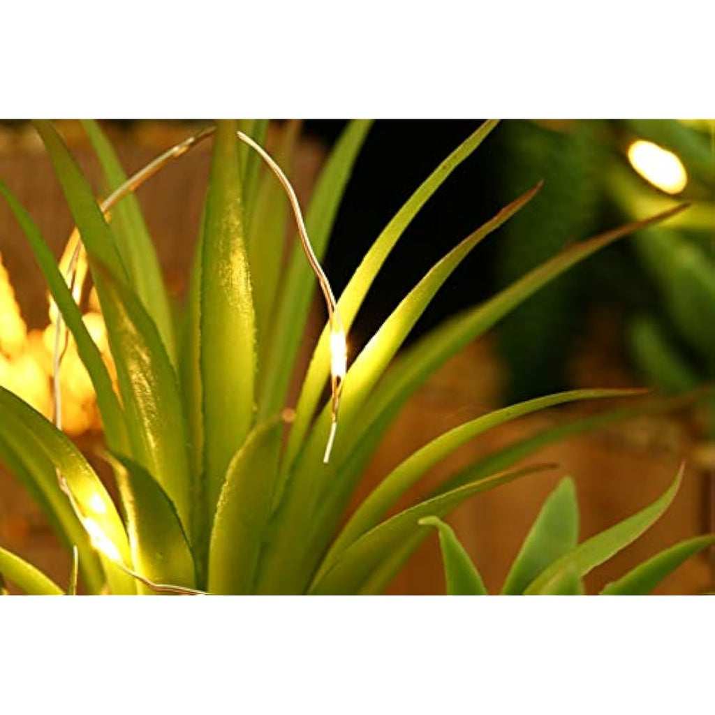 BEGONDIS Set of 3 Artificial Succulents with LED Lights in Wooden Box