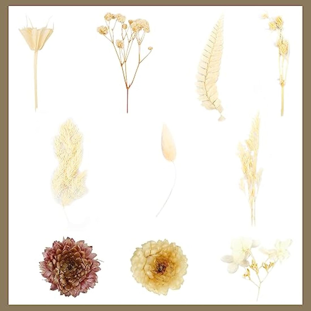 Natural Dried Flowers – Real Floral Bundle for DIY Crafts