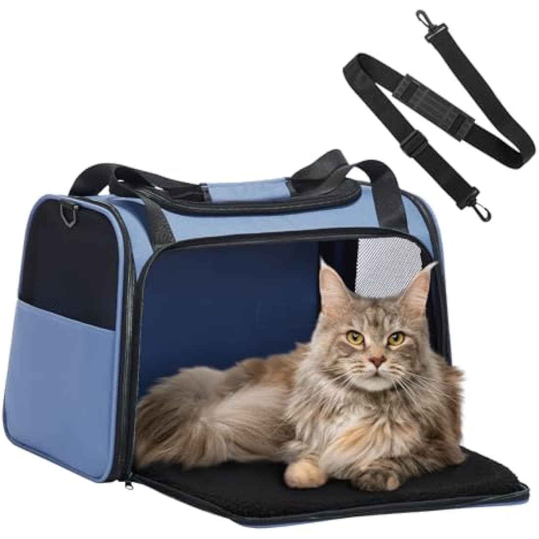 Petsfit Large Cat Carrier | Expandable Pet Travel Bag for 2 Cats - Blue