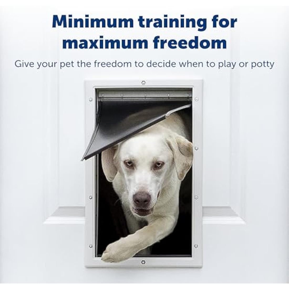 PetSafe Aluminium Pet Door – Durable Small Dog & Cat Flap, White
