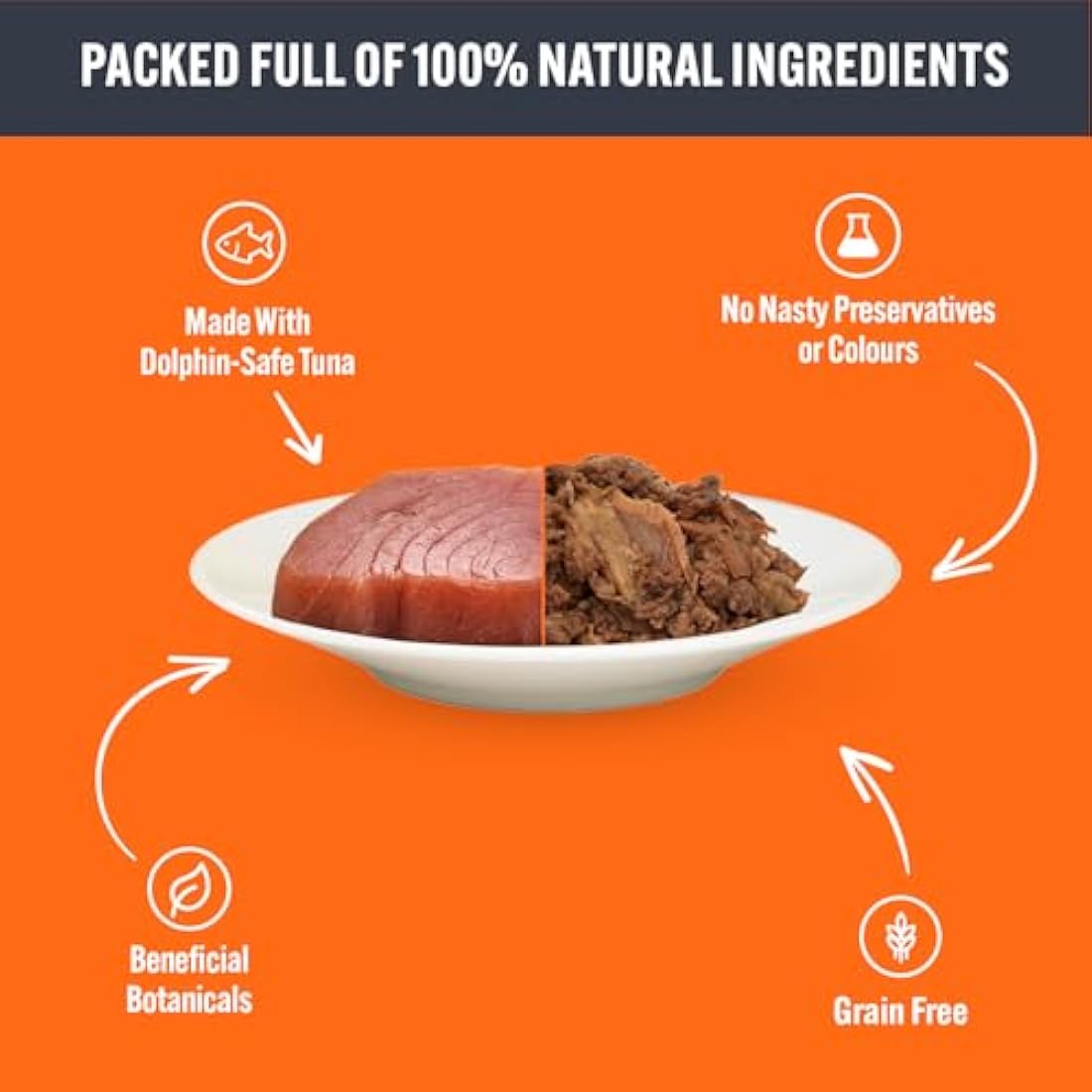 HiLife Grain Free Kitten Wet Cat Food | Chicken & Tuna Pate (32 x 70g)