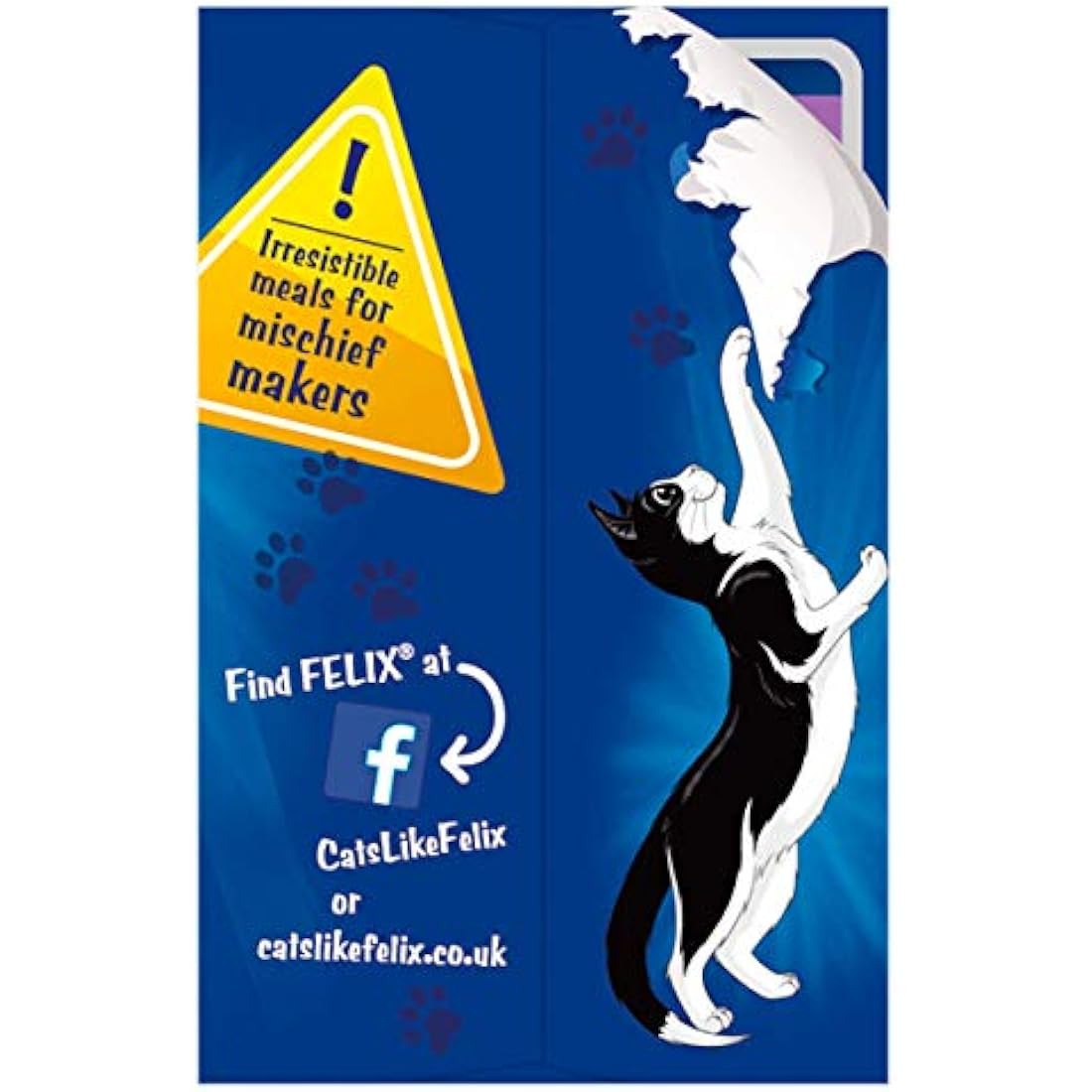 Felix Original Mixed Selection in Jelly Wet Cat Food - 12 x 100g Pouches