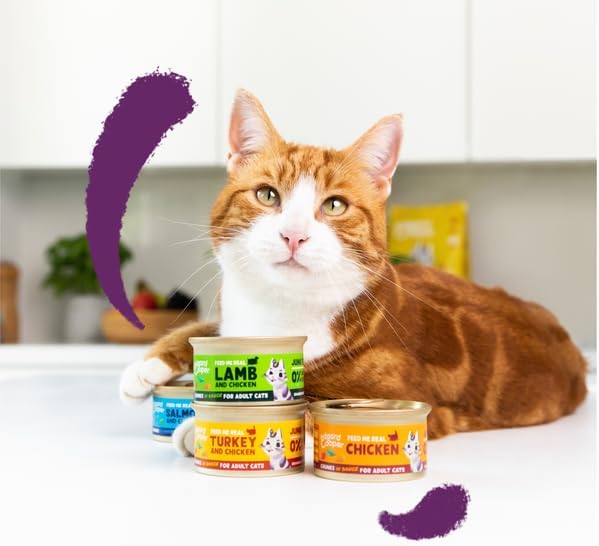 Grain Free Wet Cat Food – Salmon & Chicken (16 x 85g)