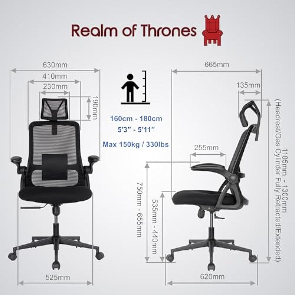 Realm of Thrones Captain Ergonomic Mesh Office Chair - Heavy Duty Black
