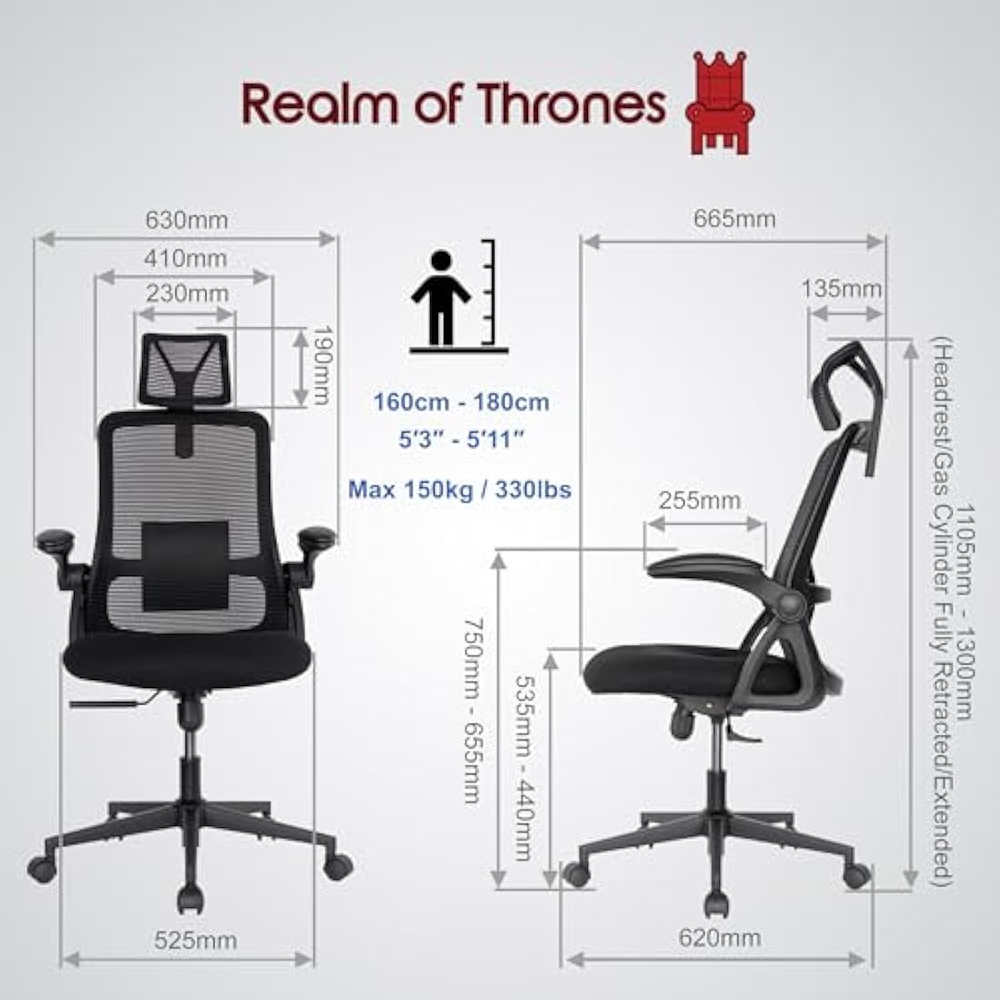 Realm of Thrones Captain Ergonomic Mesh Office Chair - Heavy Duty Black