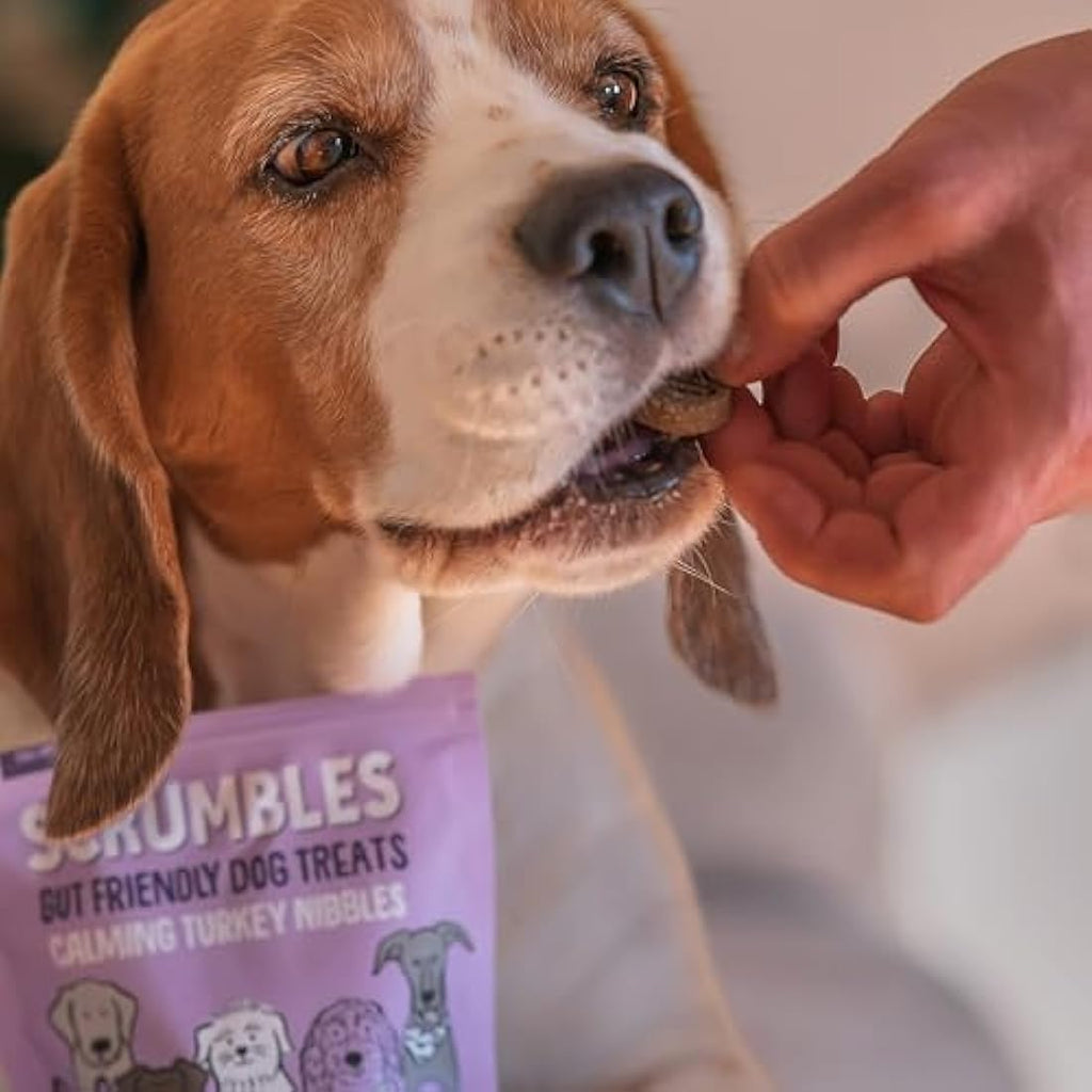 Scrumbles Nibbles Calming Turkey Dog Treats – Grain Free Training Snacks