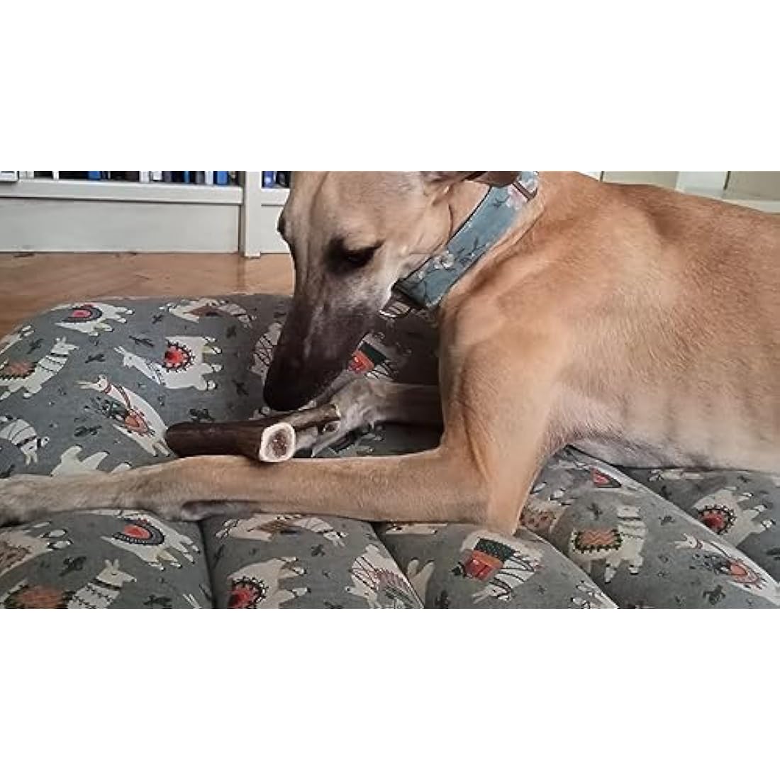Natural Deer Antler Dog Chews – Long Lasting Dental Treats (XL)