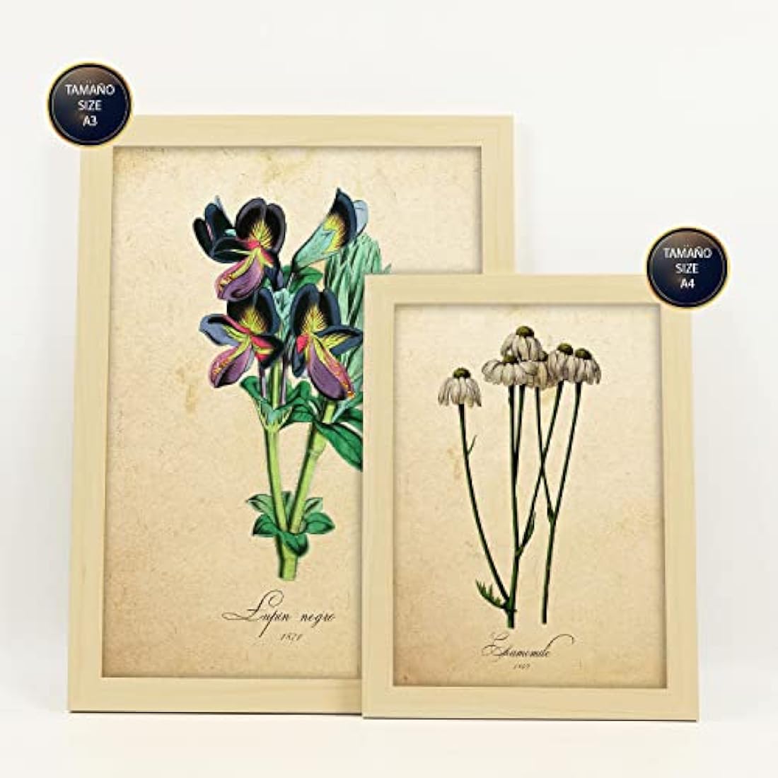 Nacnic Set of 6 Vintage Flower Posters | Framed Botanical Wall Art