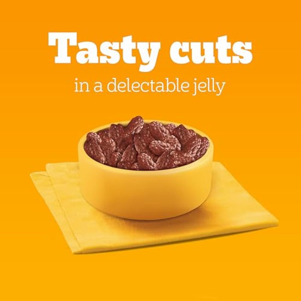 Pedigree Adult Wet Dog Food Mixed Selection in Gravy | 40 x 100g