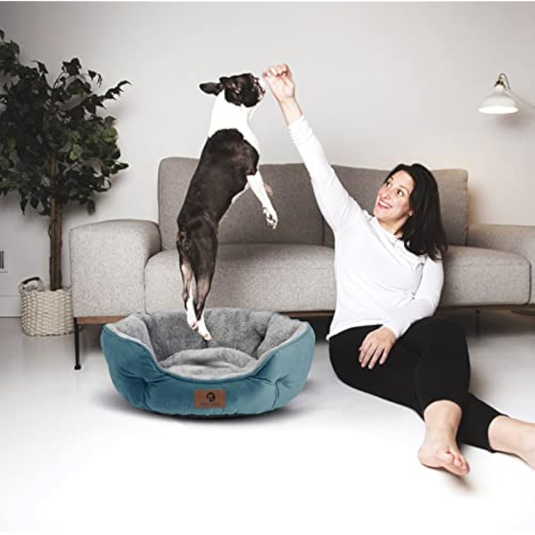 Jolof Store Calming Dog Bed – Round Sherpa Pet Bed, Teal, 25 Inch