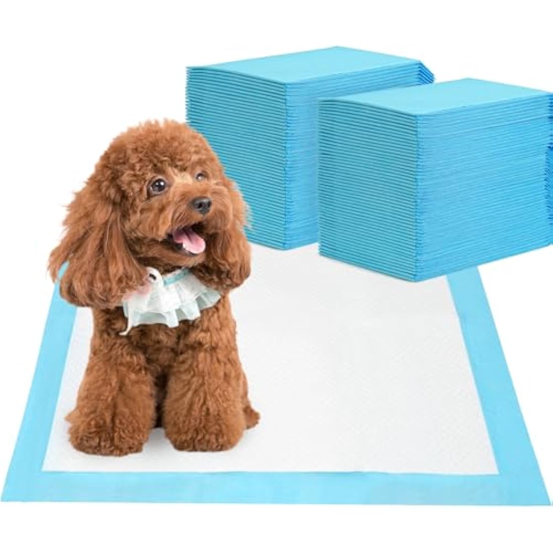 Barpor Puppy Training Pads | 100 Pack Leak-Proof 60x60cm Dog Pee Pads