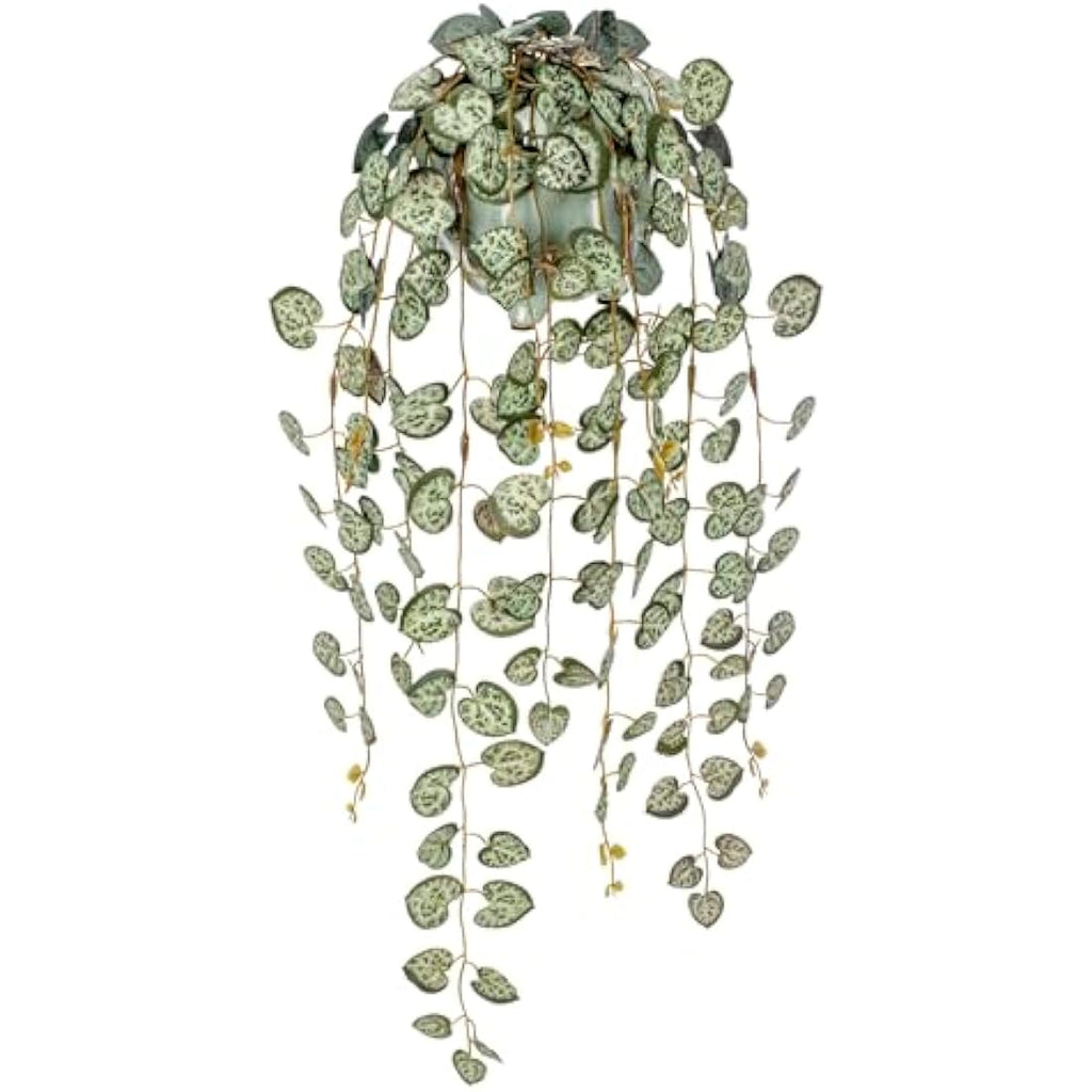 Hollyone Artificial String of Hearts - Faux Trailing Plant in Ceramic Pot