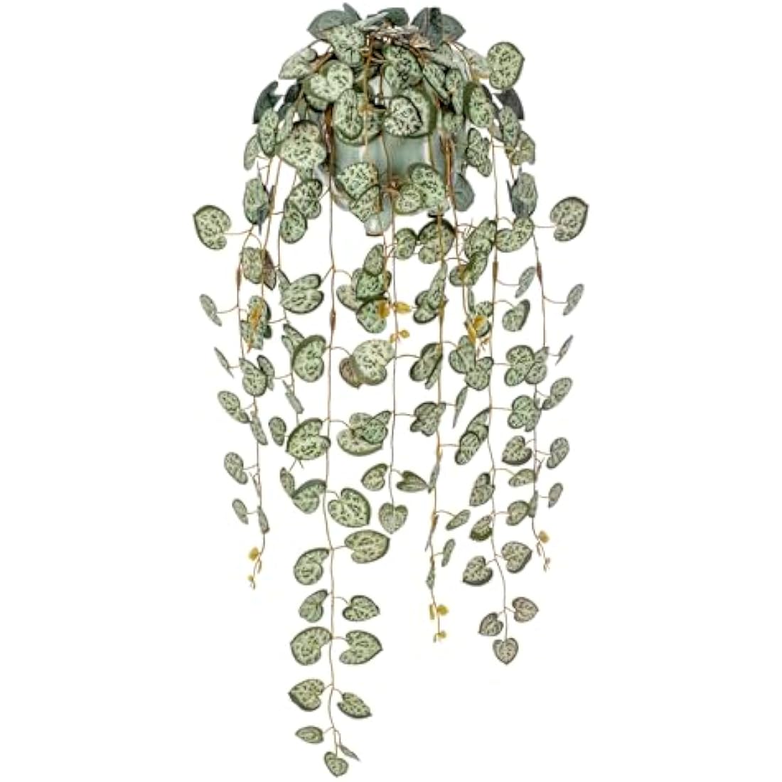 Hollyone Artificial String of Hearts - Faux Trailing Plant in Ceramic Pot