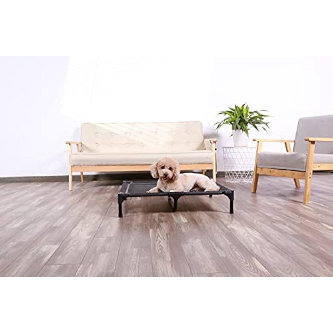 ANWA Elevated Dog Bed – Large Raised Outdoor Pet Cot with Teslin Mesh
