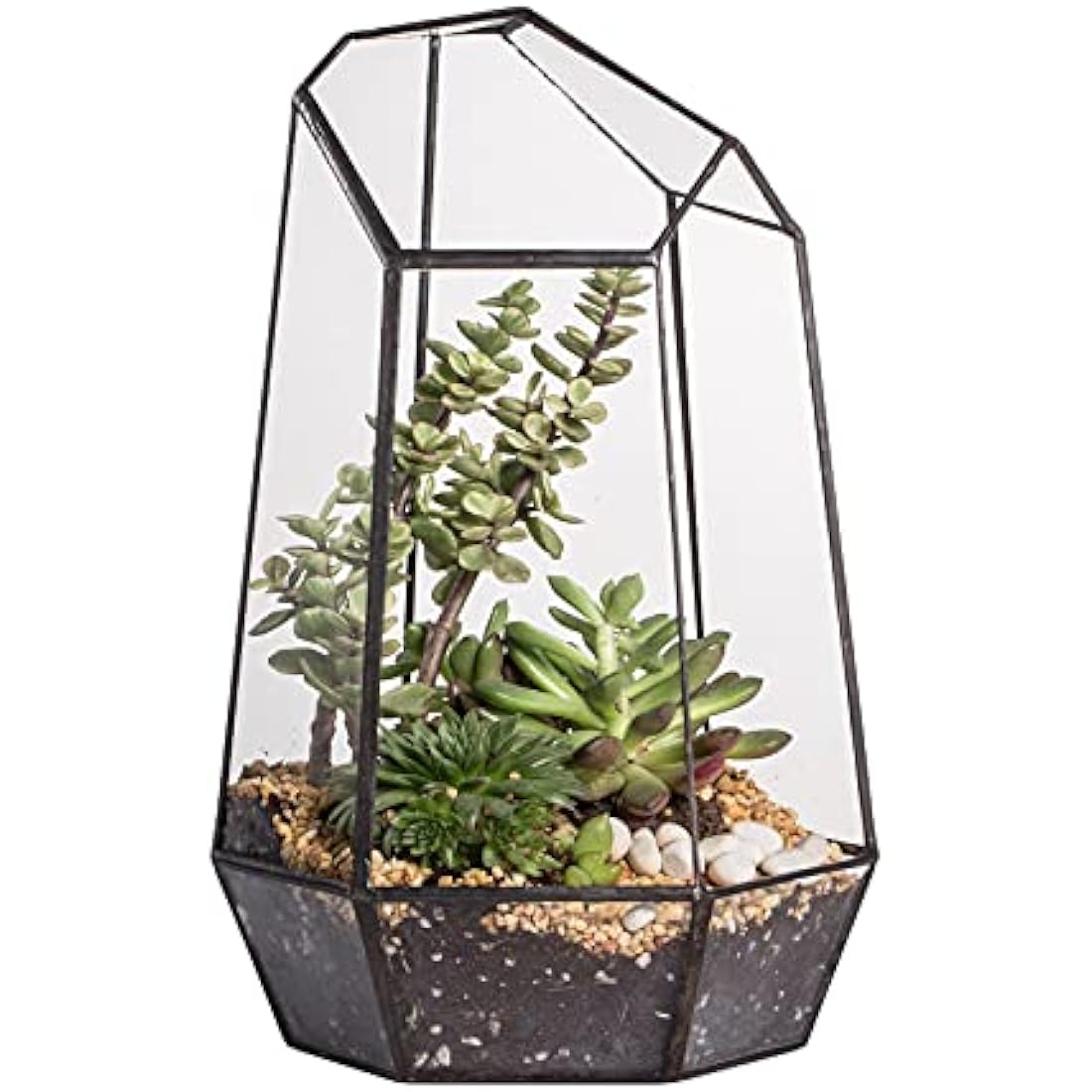 NCYP Geometric Glass Terrarium – Irregular Succulent Planter, Black