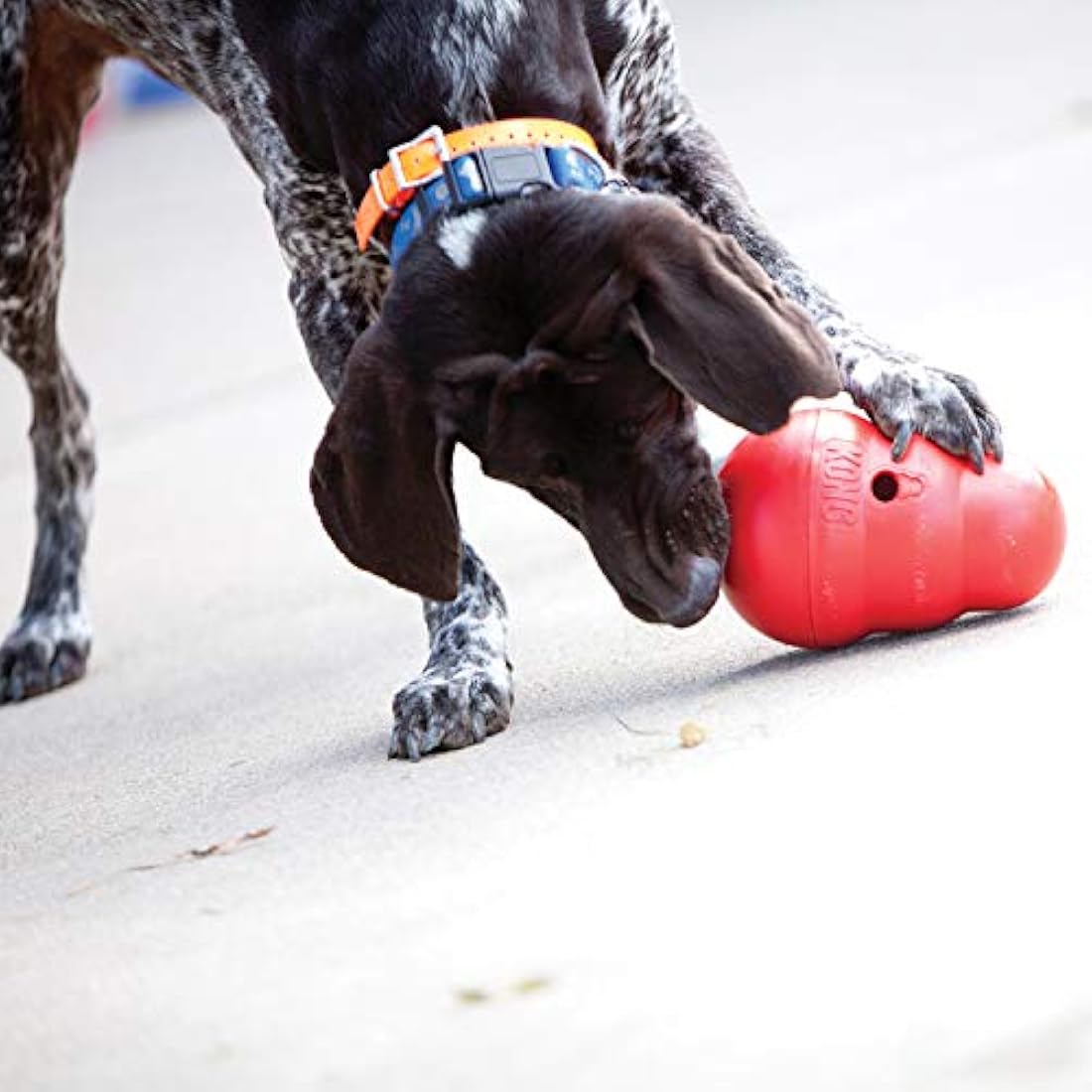 KONG Wobbler Interactive Dog Toy – Large Treat Dispensing Slow Feeder