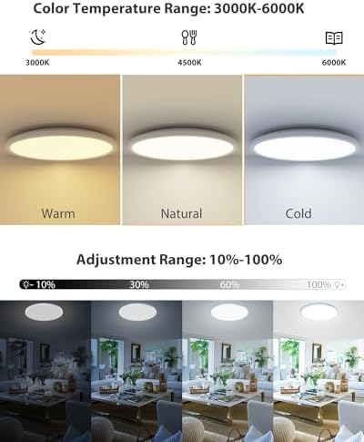 Peasur 42cm LED Ceiling Light | 32W Dimmable RGB Flush Mount with Remote