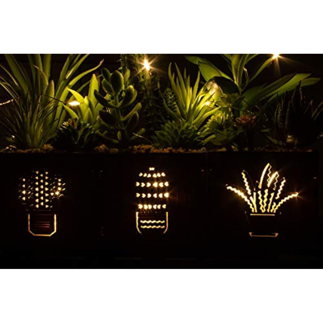 BEGONDIS Set of 3 Artificial Succulents with LED Lights in Wooden Box