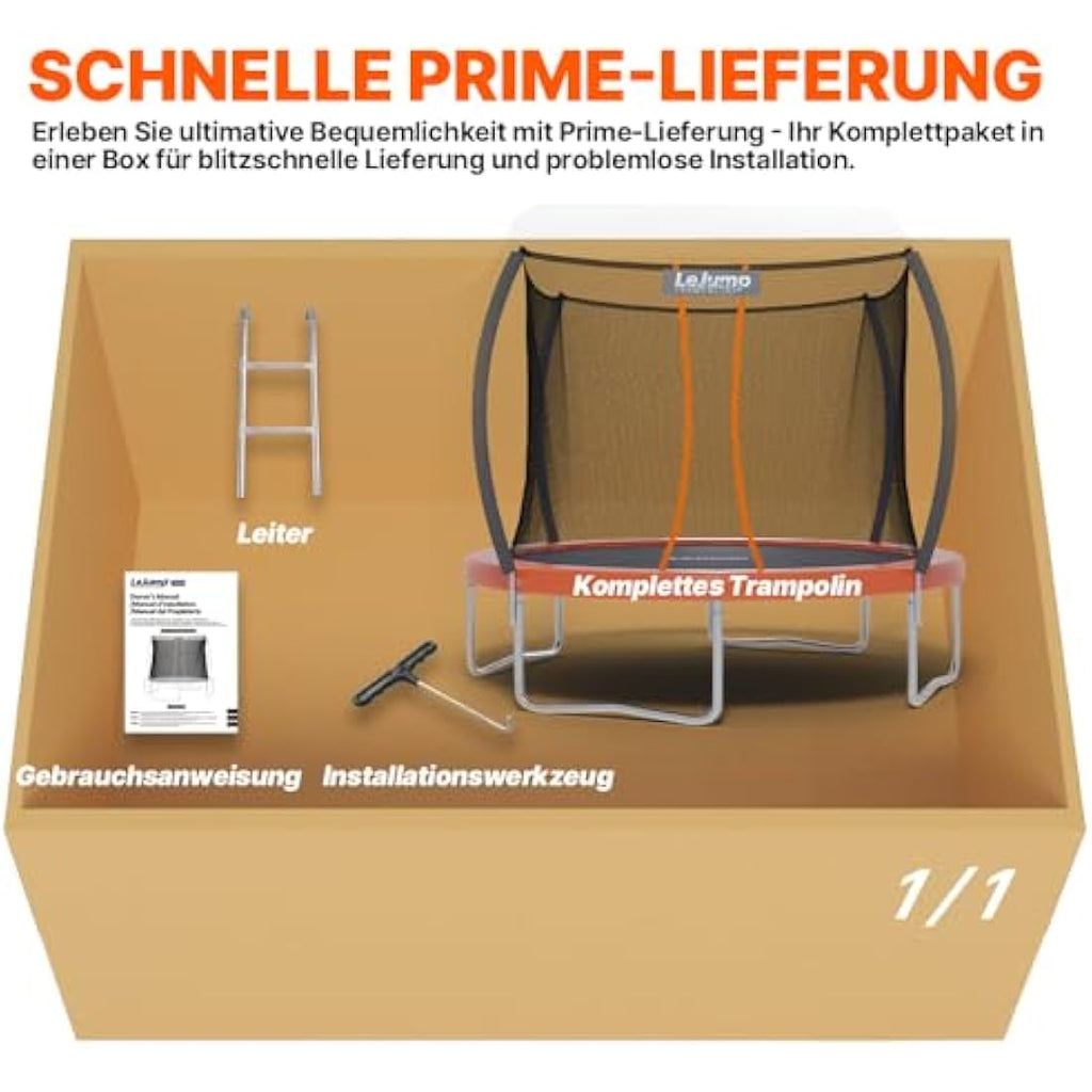 LeJump Outdoor Trampoline with Enclosure Net and Ladder | 10FT