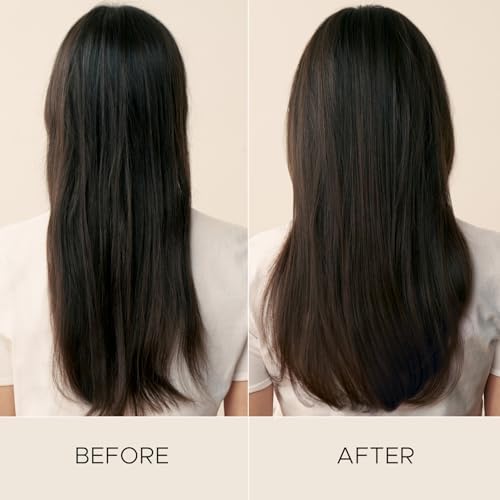 Christophe Robin Hydrating Leave-In Cream – Frizz Control Hair Treatment