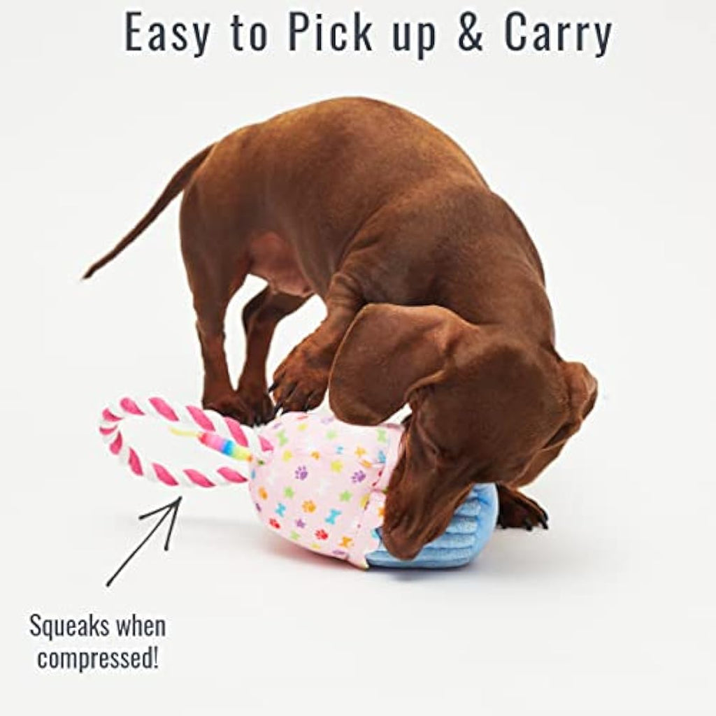 Pet London Happy Birthday Cupcake Dog Toy – Squeaky Rope Tug Gift