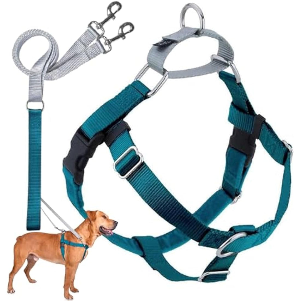 2 Hounds Design Freedom No-Pull Dog Harness & Leash | Teal, Medium