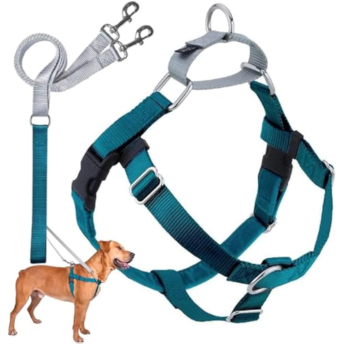 2 Hounds Design Freedom No-Pull Dog Harness & Leash | Teal, Medium