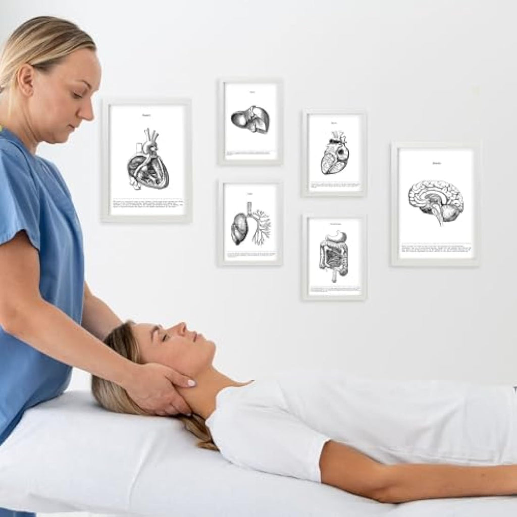 Nacnic Set of 6 Anatomical Internal Organ Posters | A3/A4 White Frame