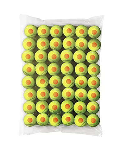 Wilson Starter Orange Tennis Balls – Bulk Pack of 48 Training Balls