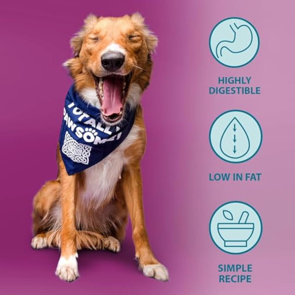 Burns Pet Nutrition Hypo-allergenic Dog Mixer | Low-Fat & Wheat-Free 2kg