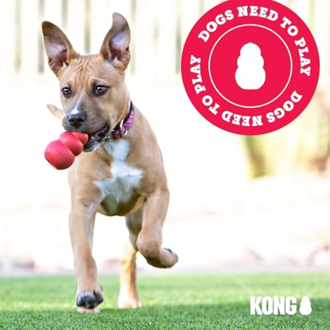 KONG Sherps Donkey Plush Dog Toy – Durable Squeaky & Crinkle Toy