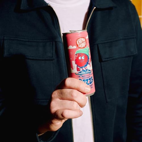 Karma Drinks Razza Raspberry Pink Lemonade | Organic Soft Drink | 24 x 250ml