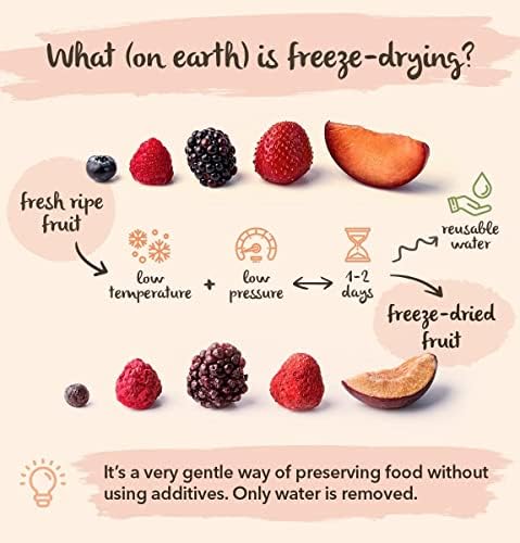 BRIX Freeze Dried Strawberry Halves | 100% Natural Vegan Snack - 300g