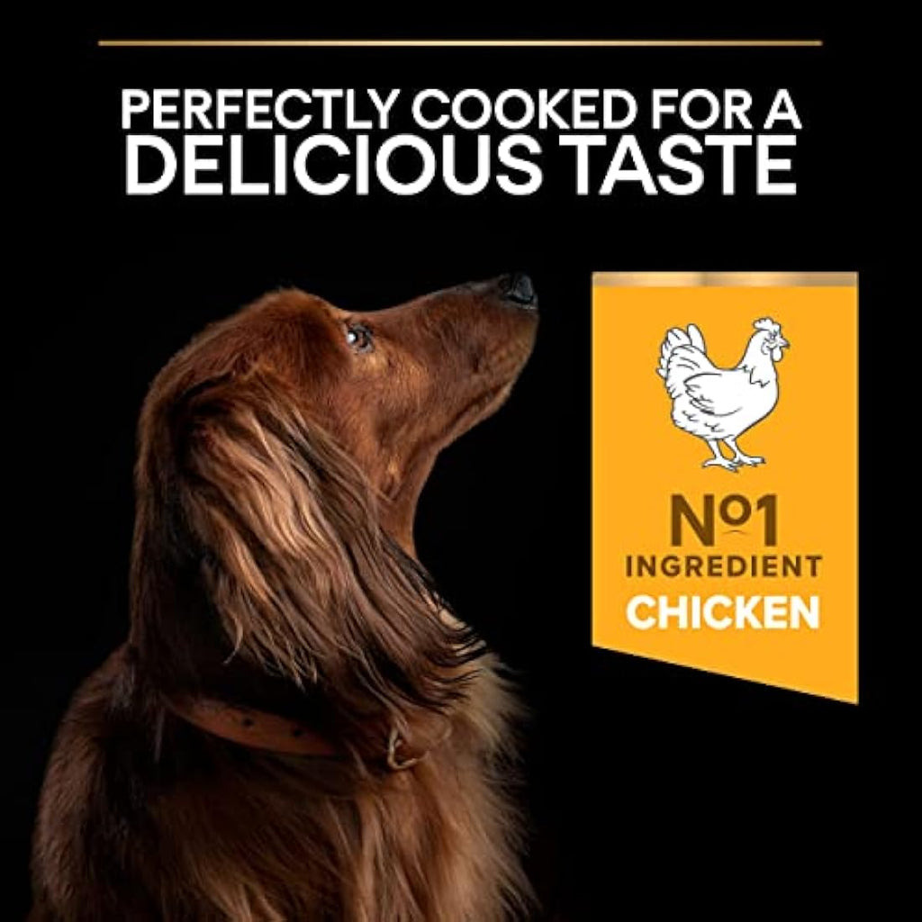 Purina Pro Plan Small & Mini Adult Dry Dog Food - Chicken Recipe 7kg