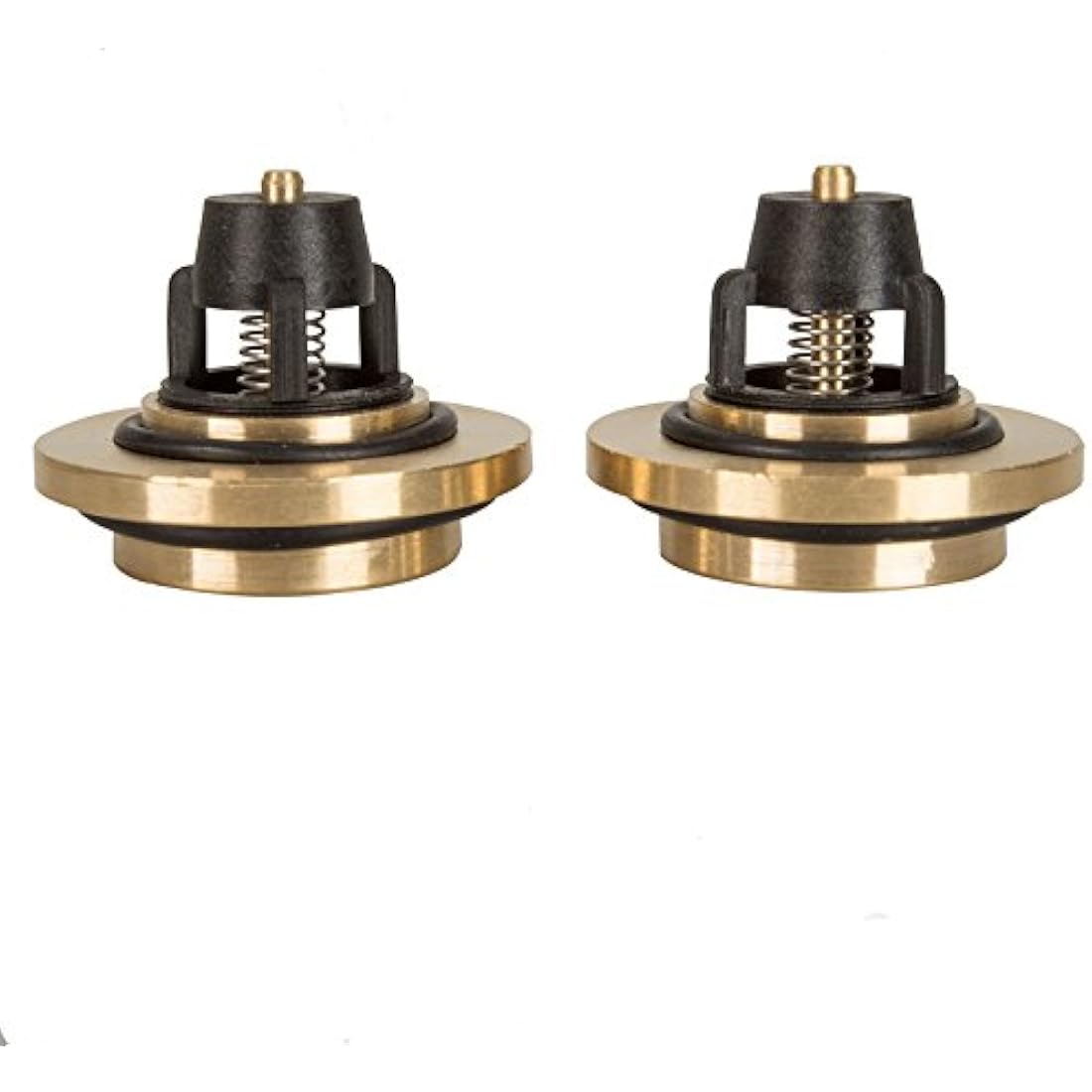 Stuart Turner Monsoon Non Return Valves for 1.5 2.0 2.5 3.0 Bar Pumps