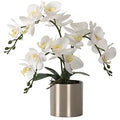 Jolof Store White Artificial Orchid Bonsai | Faux Phalaenopsis with Vase